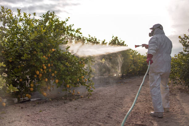 Best Termite Control Services  in Muskego, WI