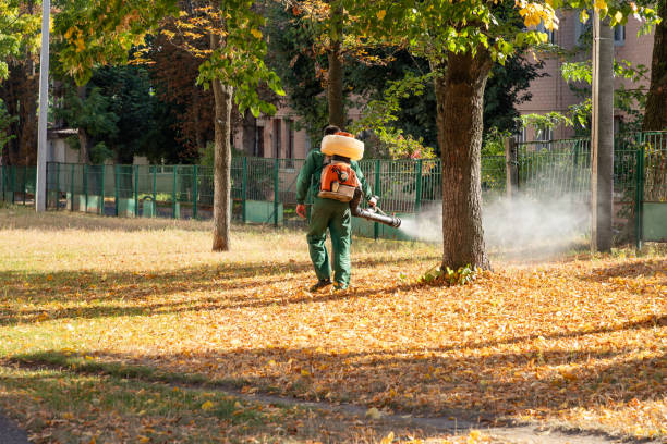 Best Flea Control Services  in Muskego, WI