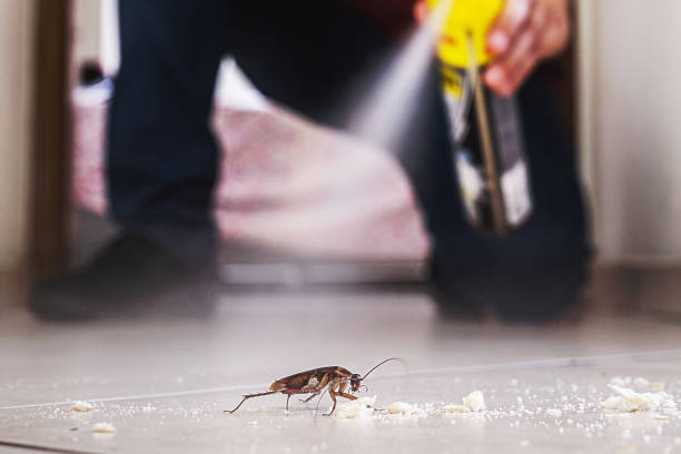 Best Emergency Pest Control  in Muskego, WI