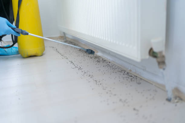 Best Exterminator Services  in Muskego, WI