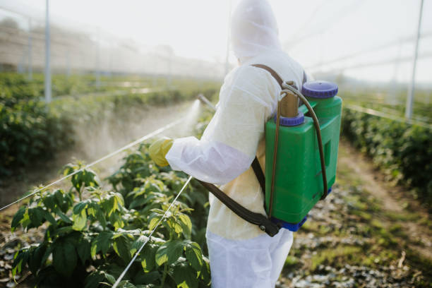 Best Wasp Removal Services  in Muskego, WI